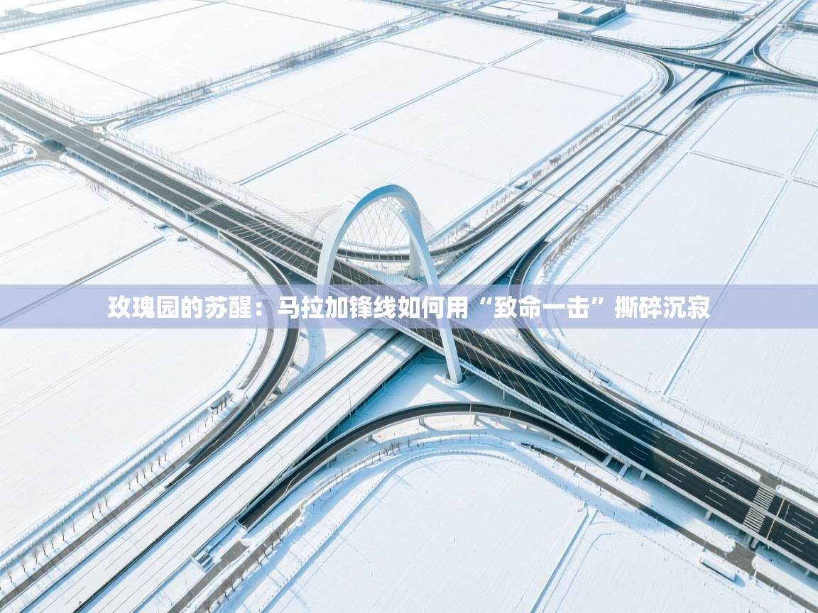 玫瑰园的苏醒：马拉加锋线如何用“致命一击”撕碎沉寂