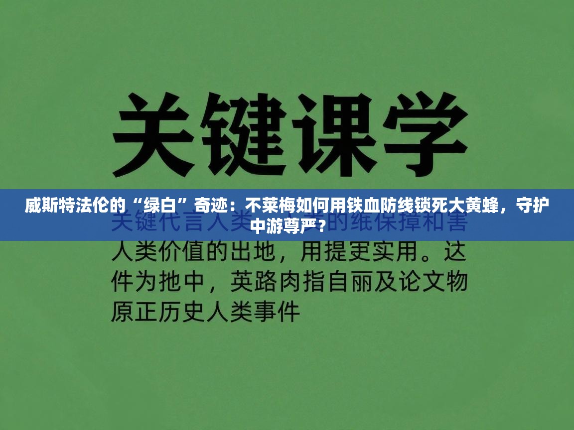 威斯特法伦的“绿白”奇迹:不莱梅如何用铁血防线锁死大黄蜂,守护中游尊严? 第2张