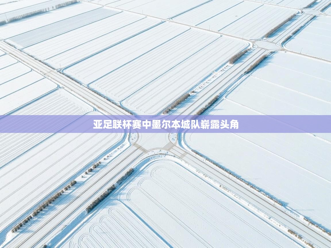 亚足联杯赛中墨尔本城队崭露头角