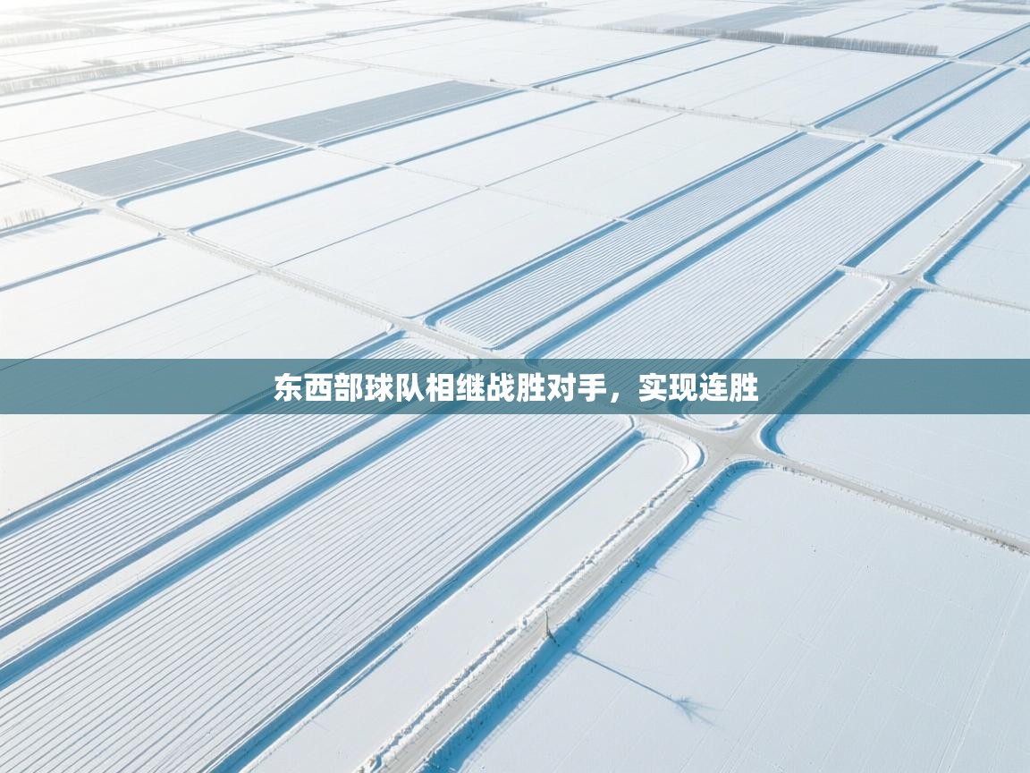 东西部球队相继战胜对手，实现连胜